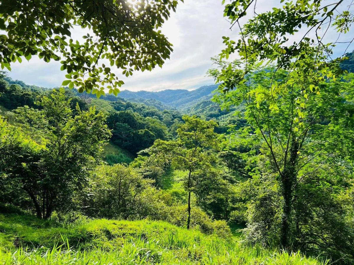 Cabana Tolle Vista Savegre 외부 사진